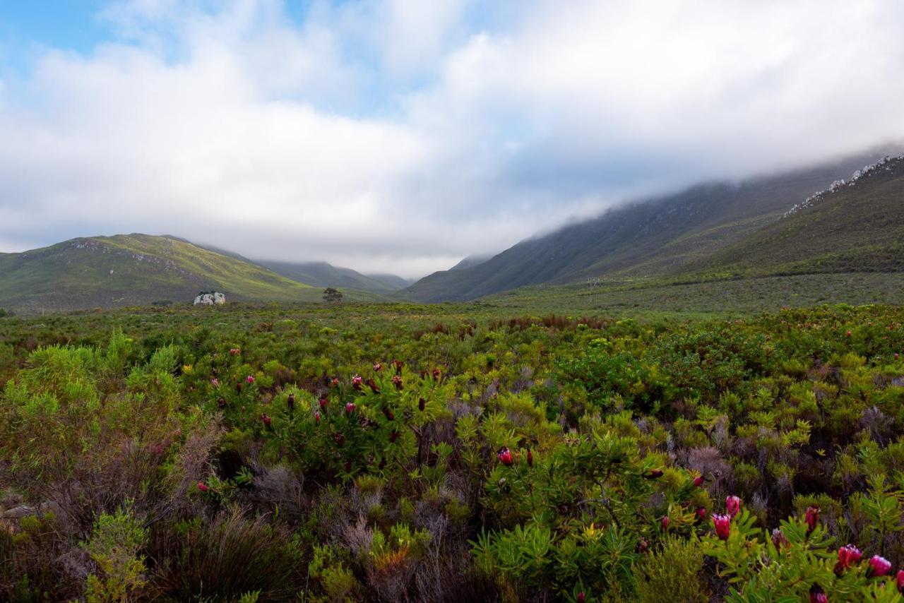 Honeyrock Cottages Kleinmond Exterior foto